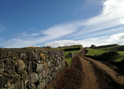 Limpeza e Manutenção de Zonas Verdes 2018